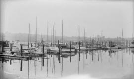 Boats at a marina