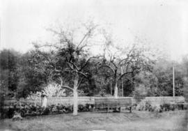 Garden surrounding original Jericho Clubhouse