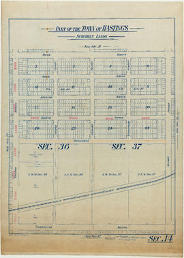 Part of the town of Hastings. Suburban lands (section 14)