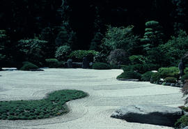 Gardens - United States : Portland Japanese Garden