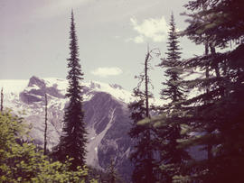 Asulkan Glacier from Mt. Avalanche