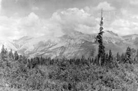 The Colin Range: Old Man Mountain on the right