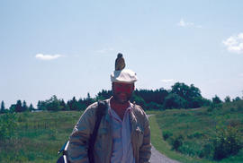 People, Botanists : Roy Forster and kestrel hawk