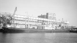 M.S. Eishun Maru [at dock]