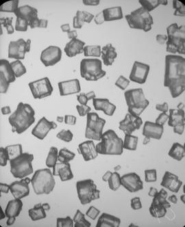 Research & development - sugar crystal photos by J. Macarthur