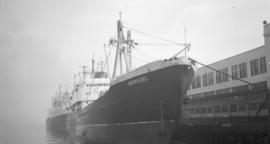 M.S. Amurskles [Russian ship at dock]