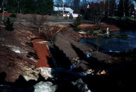 Construction : new work in dwarf conifer section