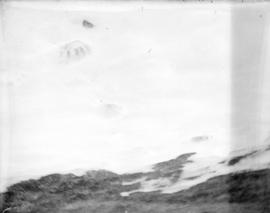 [Bear tracks on glacier in Garibaldi District]