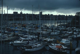 View of False Creek Marina Looking S.W. from Tower