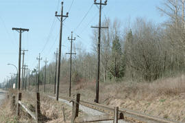 [View of a railroad] looking East at Kerr [Street] and Kent [Avenue]