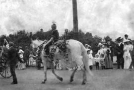 [A decorated horse in a Labour Day parade on Hastings Street]