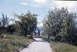 False Creek - Cleanup progress #1 [18 of 18]