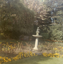 Bird bath at 3851 Pine Crescent