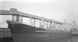 M.S. Bonita [at dock]