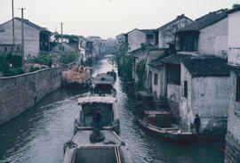 Gardens - China, Japan : Suzhou