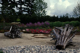 Alma VanDusen Garden : beach scene