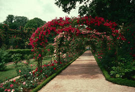 Gardens - Europe - France : L'Hay-Les-Roses, Paris