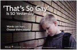 That's so gay' is so yesterday : Pflag Canada : support, information and resources