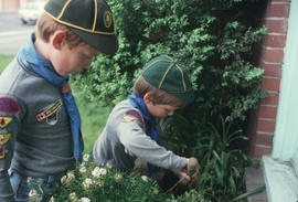 Boys Scouts making Vancouver sparkle