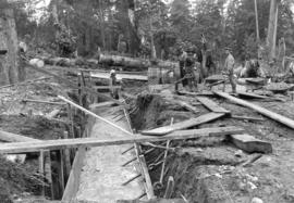 [Men digging a ditch through a forested area]