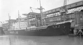 M.S. Yamaharu Maru [at Ballantyne Pier]