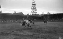 [Man riding a bucking horse at the Callister Park rodeo]