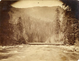 [Capilano Creek Dam]