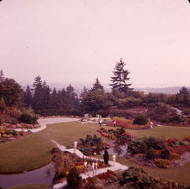 [Garden in Stanley Park]