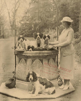 Aldyen Hamber with English Springer Spaniels