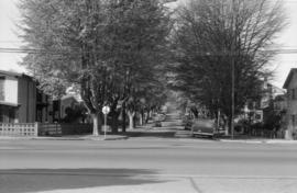 East 40th Avenue, looking west (Main to Ontario), London Plane