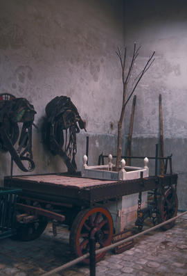 Gardens - Europe - France : Vaux le Vicomte, moving machine plant