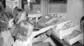 [Children choosing candy in a grocery store]