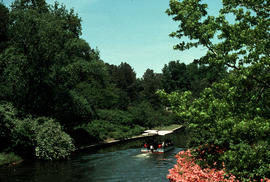 Gardens - United States : Norfolk Botanical Garden