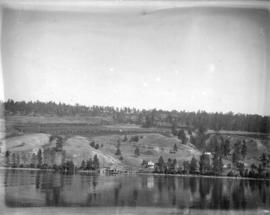 [View of orchards on shore of Lake Okanagan]