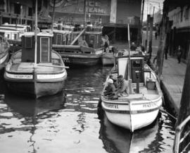 Fish boats [docked] at Gore Avenue