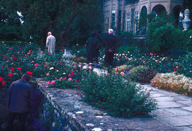 Gardens - United Kingdom : terrace at [Bodnant]