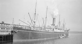 S.S. Monteagle [at dock]