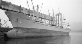 M.S. Tarpon Sands [at dock]