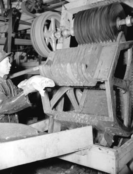 [Worker using an "Iron Chink" to clean salmon]