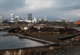 False Creek - Cleanup progress #1 [9 of 18]