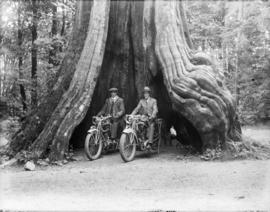 James Crookall [and friend H. Morris] on motorcycles in Big [Hollow] Tree