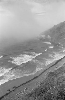 Shore near Florence, Ore.