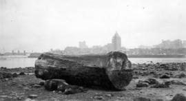 View of downtown Vancouver from Stanley Park