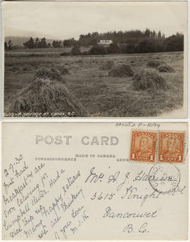 A hayfield at Comox, B.C.