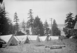 View of tents in field