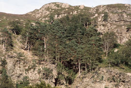 View of unidentified mountain