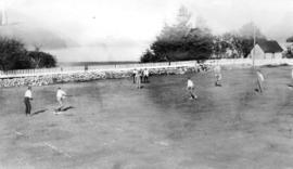 Baseball at the Blue Goose picnic