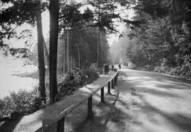 Path and roadway on western edge of Stanley park