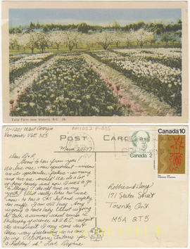 Tulip farm near Victoria, B.C.