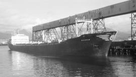 M.S. Dromon [at dock]